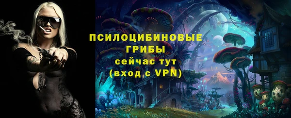 прущий лед Арсеньев